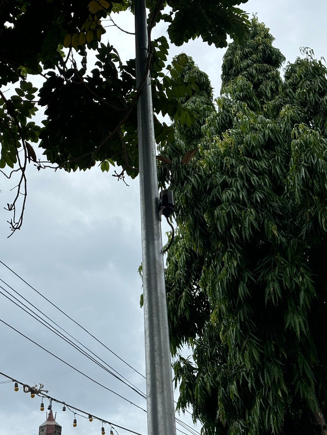 Pole-mounted photocontrol assembly beside trees in Chiang Rai, Thailand.